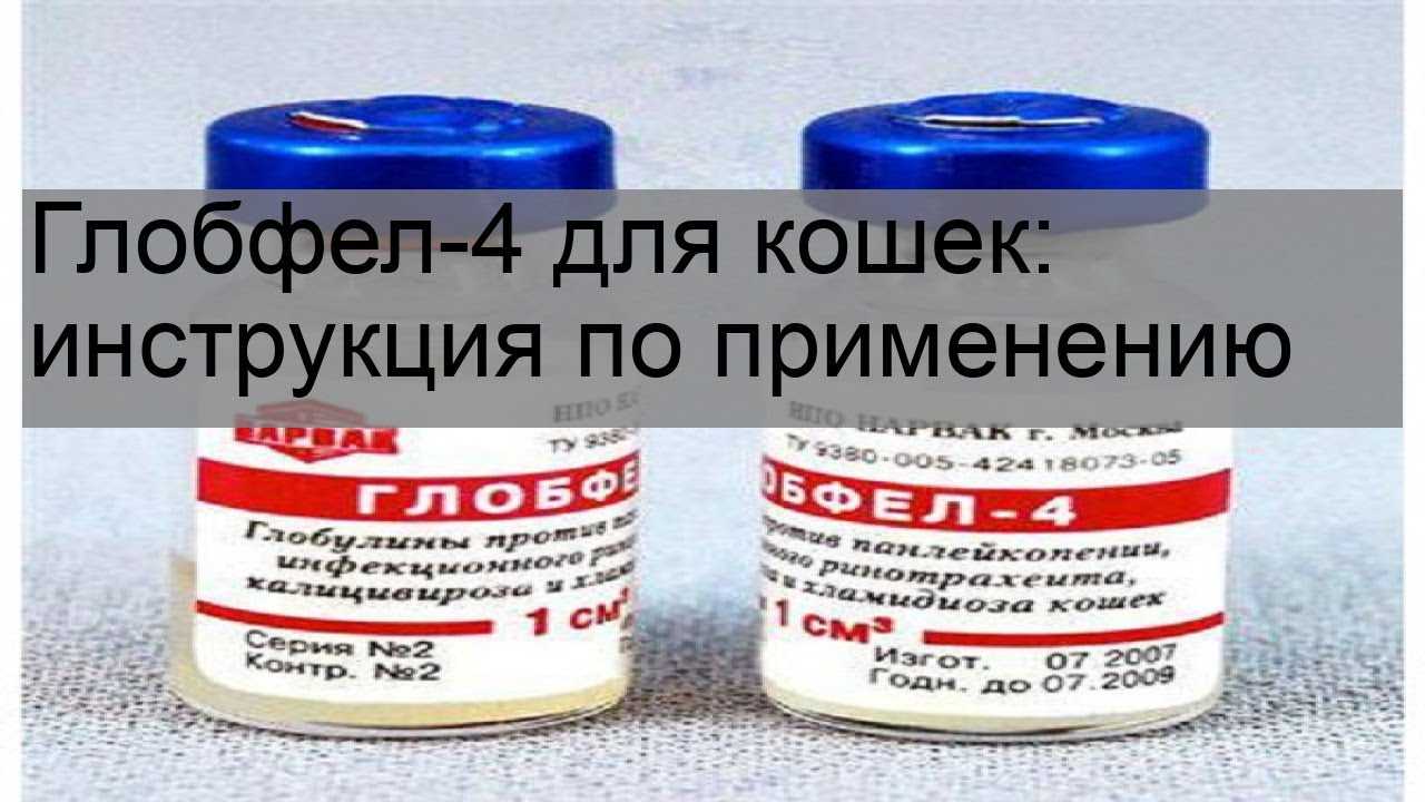 Эрадикационная терапия хеликобактер пилори - схема и препараты
