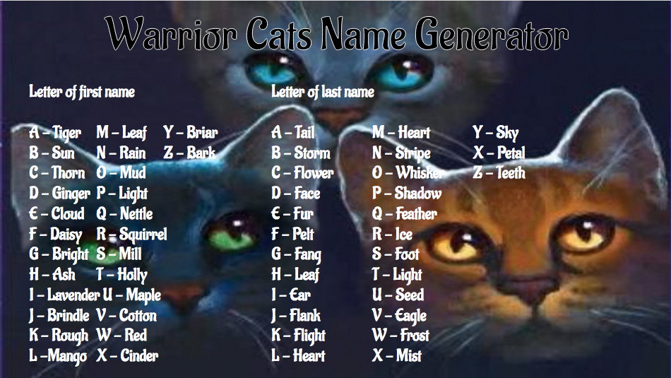 Клички для кошек девочек, красивые имена для кошечек и котят