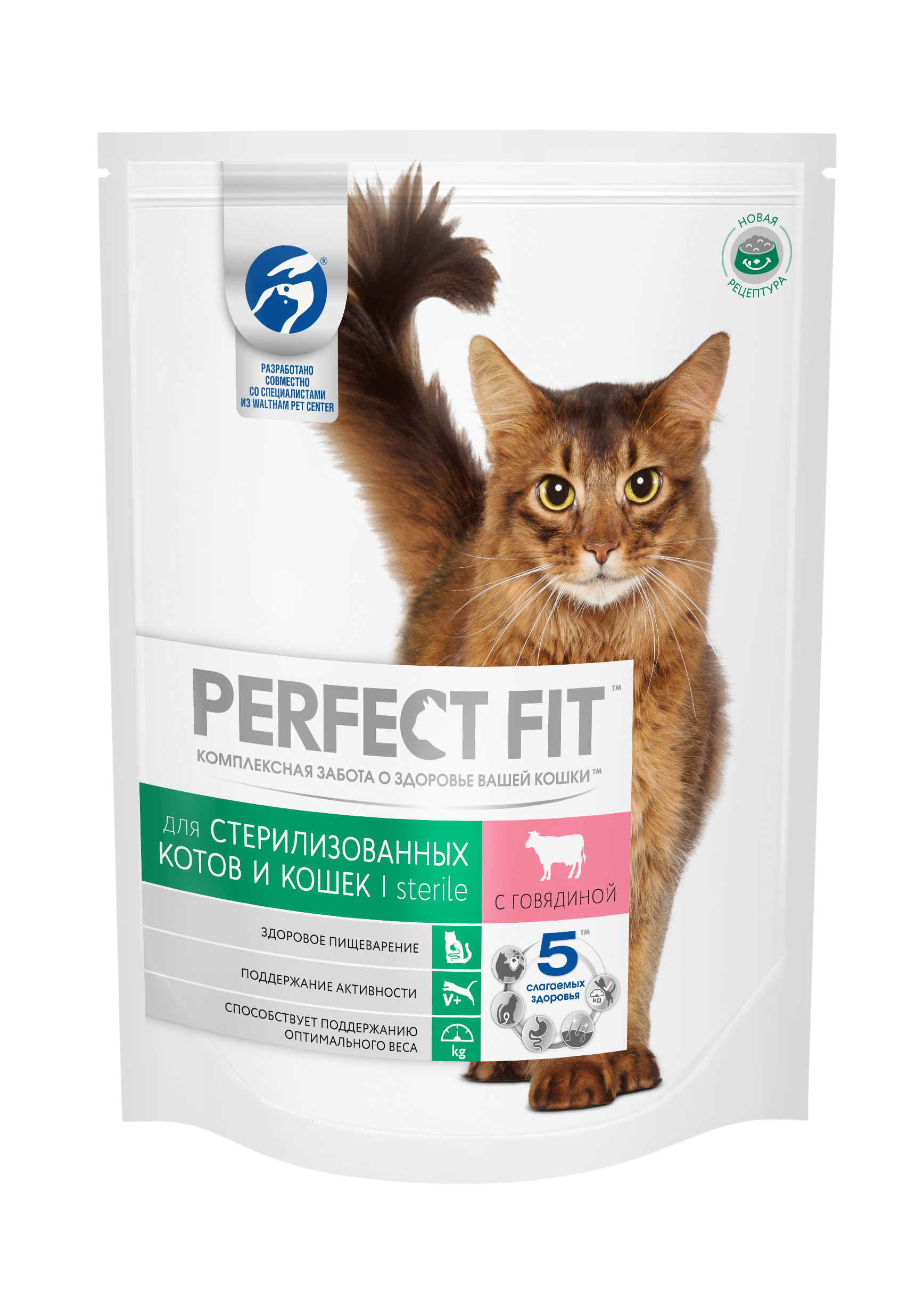 Сухой корм для котят - какой лучше: рейтинг по качеству и отзывы ветеринаров