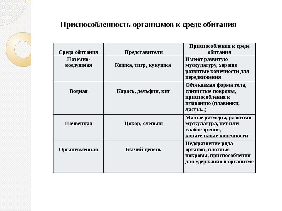 Места обитания и образ жизни пятнистых животных, особенности раскраски шерсти диких представителей
