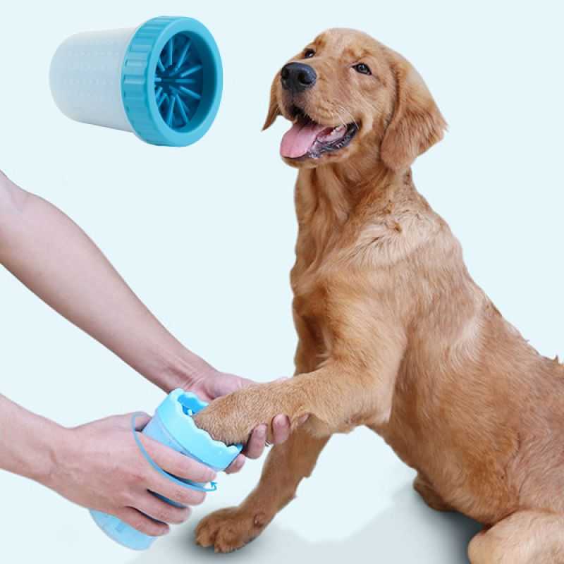 Как мыть лапы собаке после прогулки: подробная инструкция | ваши питомцы