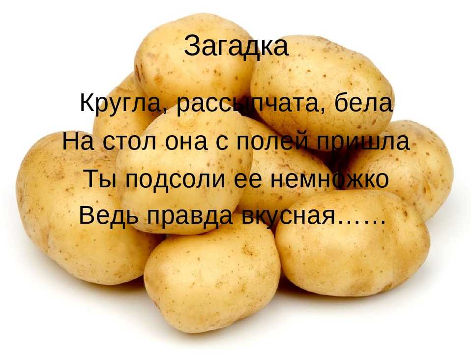 Частушки про блюда из картошки