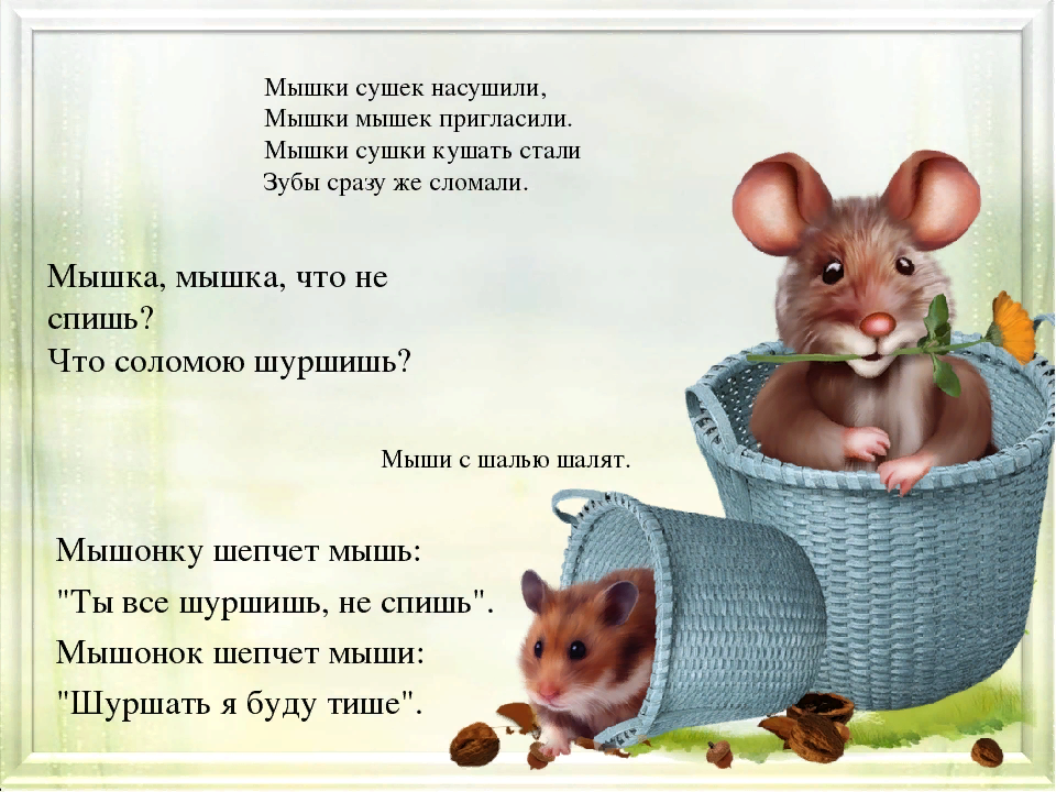 Стих про мышь. Стих про мышку. Стишки про мышку. Стихотворение про мышонка. Скороговорка шишки