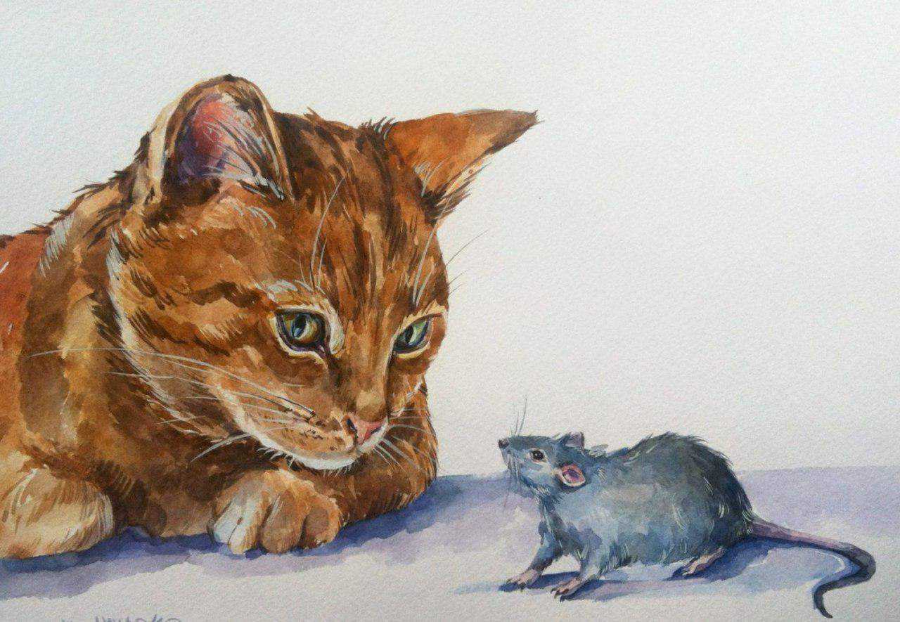 Мышонок который был кошкой собакой и тигром. Ленивый кот рисунок. сказка о мышонке который был кошкой собакой и тигром.