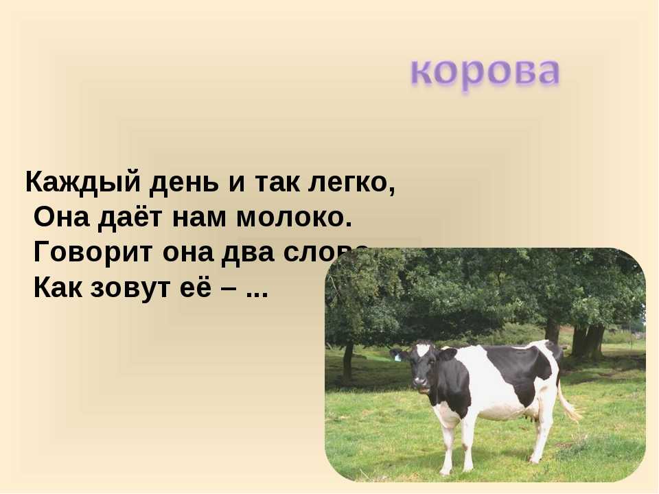Клички коров: как назвать теленка мальчика и имя девочке, имена по алфавиту для быков