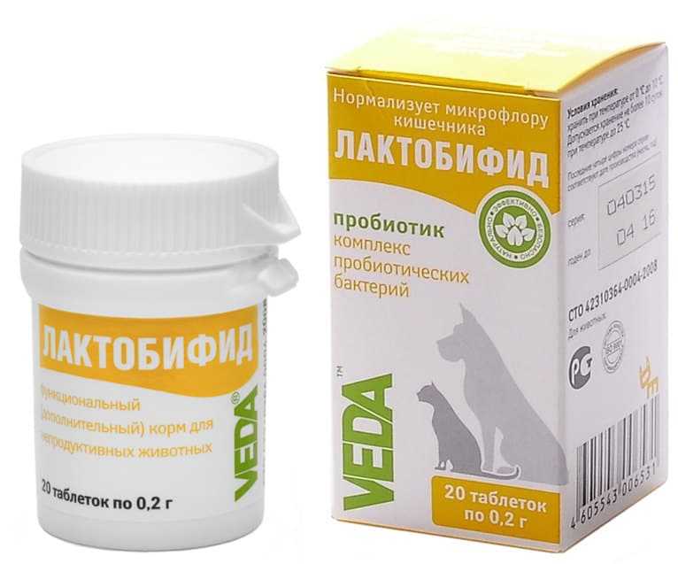 Пробиотик лактобифадол для кошек и котят