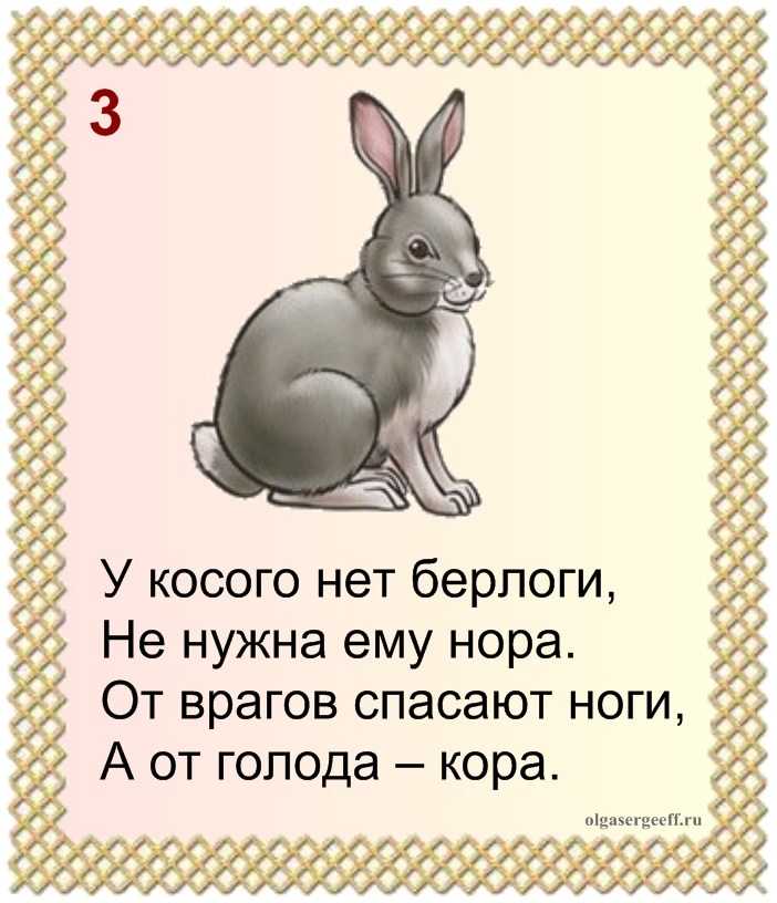 Загадки про домашних животных для детей 🐩 - детям и родителям