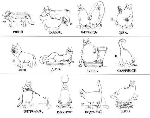 Гороскоп совместимости кота. Коты по знаку зодиака. Кошачьи знаки зодиака. Породистые кошки по знакам зодиака. Подходящие животные к знакам зодиака.