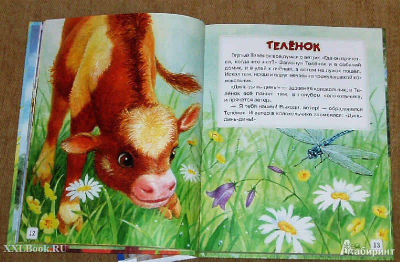 Рассказы о животных для детей младшей группы