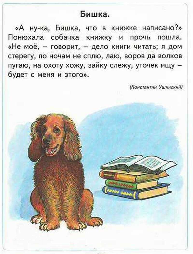 Сергей владимирович михалков стихи для детей читать онлайн