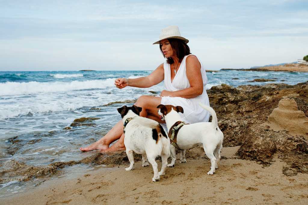 Можно ли с собакой на пляж: где разрешено, куда нельзя, правила поведения животных
