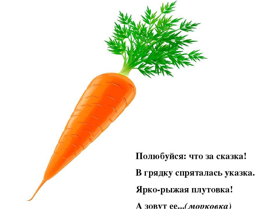 ✅ морковь описание для детей - питомник46.рф