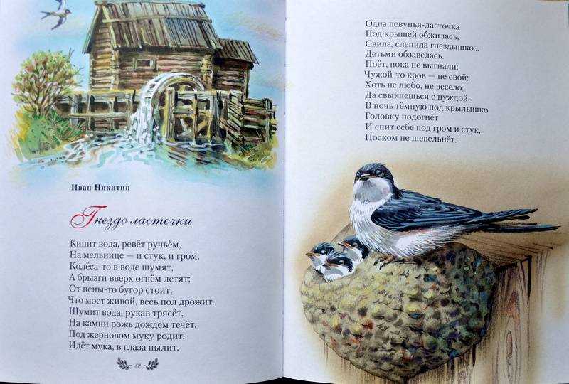 Стихи о животных для младших школьников, 2 класс. стихи о животных для детей