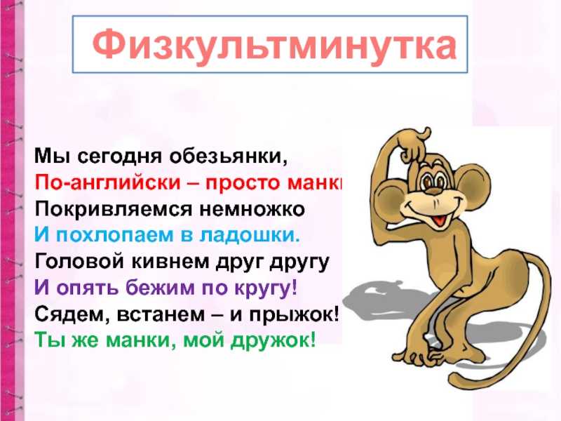 ᐉ каким именем можно назвать обезьянку мальчика: использование перевода, телевидения или качеств самого питомца - zoovet24.ru