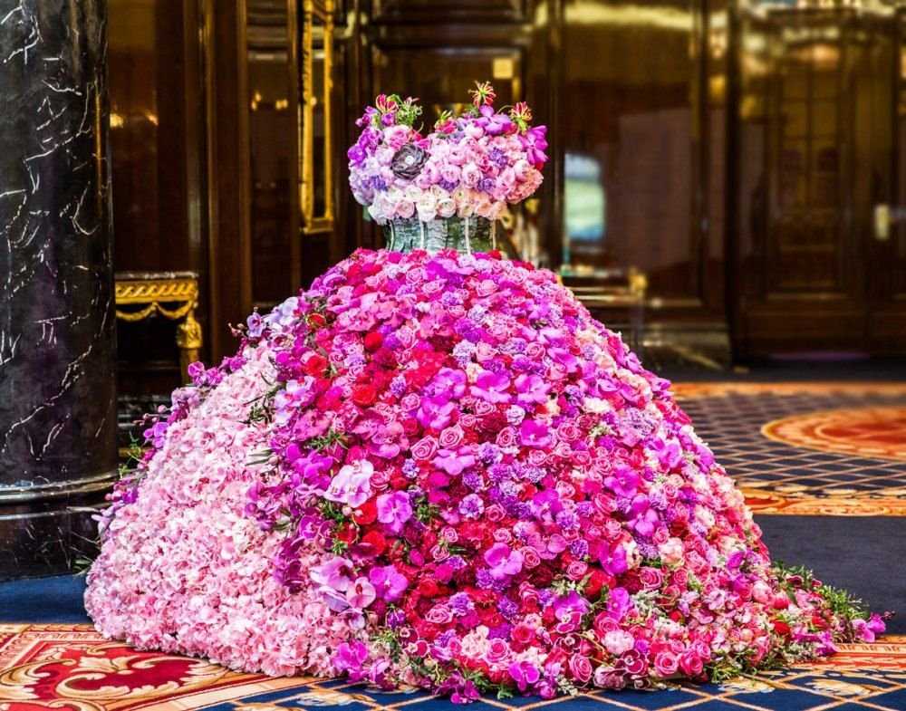 Самая большая роза в мире фото