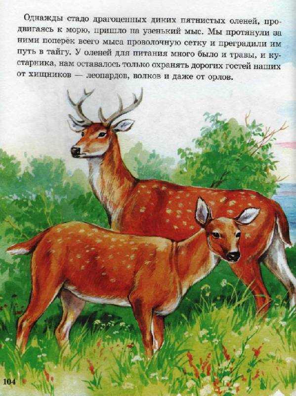 Читать книгу сказки для малышей про зверей (сборник) сергея михалкова : онлайн чтение - страница 1