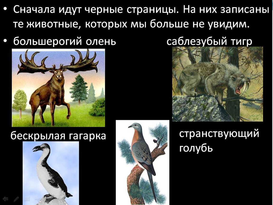 9 вымерших животных, которых ученые собираются возродить - 18 декабря 2020
