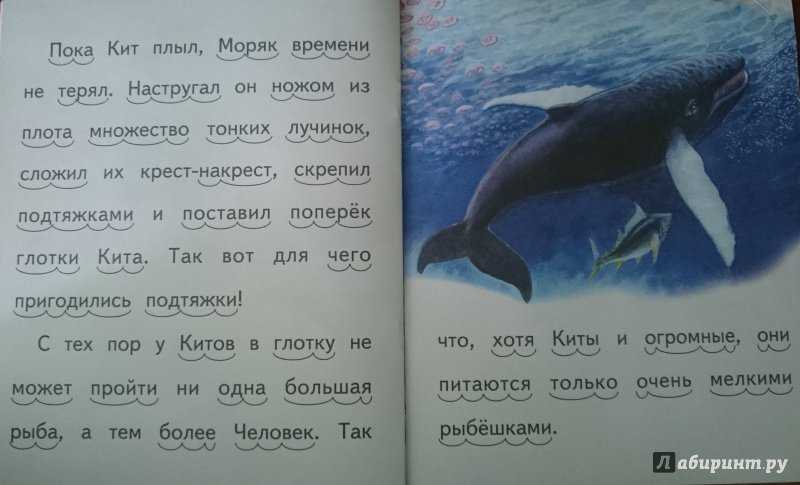 Где живет кит русский язык 1 класс. Редьярд Киплинг. Откуда у кита такая глотка. Какая глотка у кита. Откуда у кита такая глотка картинки. Киплинг откуда у кита такая глотка читать.
