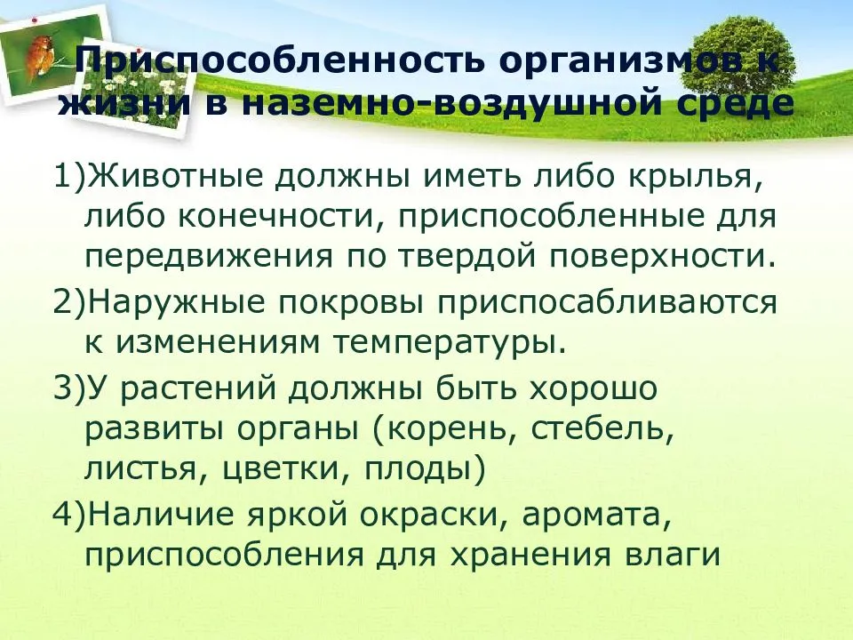 Приспособленность живых организмов к среде обитания презентация