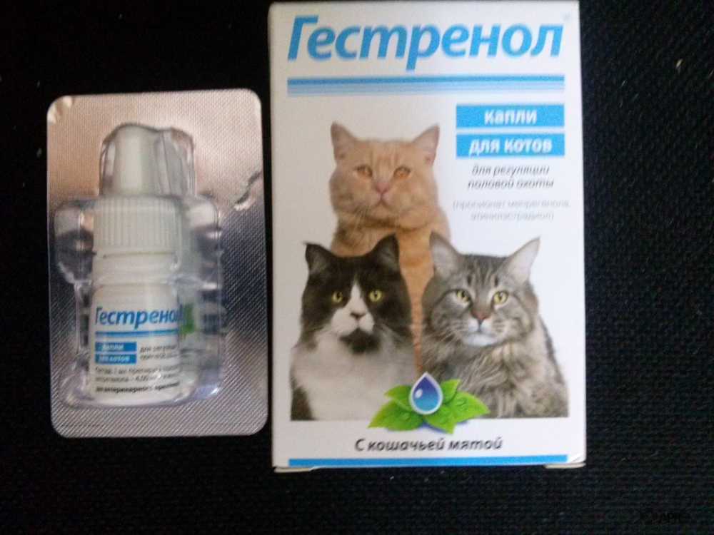 Гестренол, капли и таблетки для кошек и котов: инструкция по применению препарата