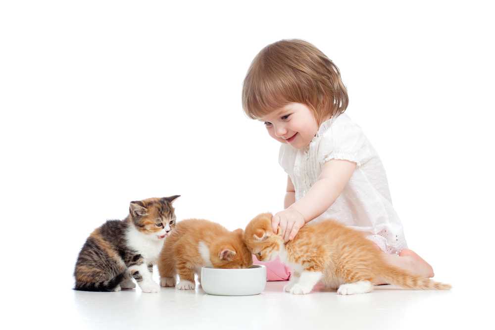 Топ 10 маленьких домашних животных для вашего ребенка