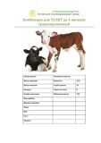 Список легких и красивых кличек для коров, популярные и необычные имена