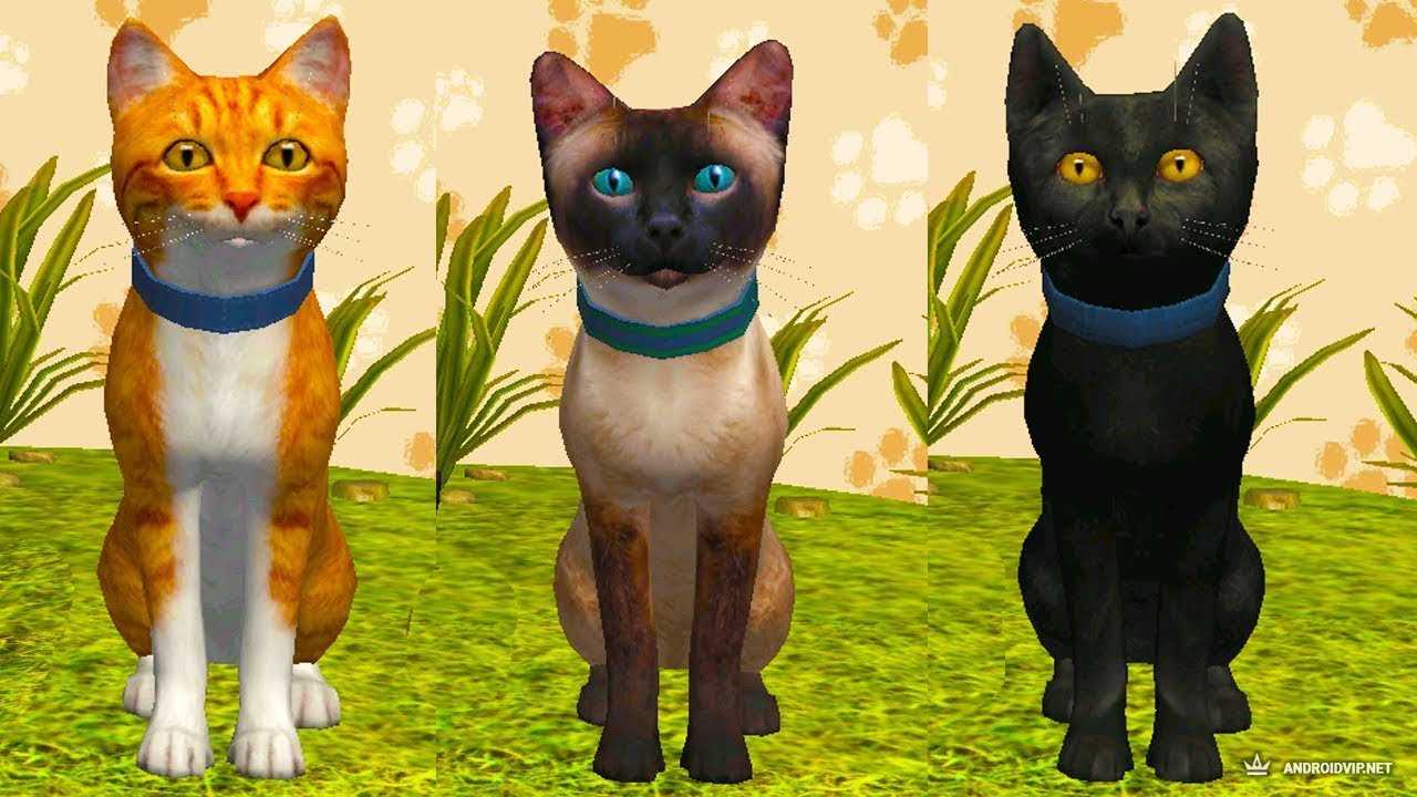 Игры котята – играть онлайн бесплатно для девочек