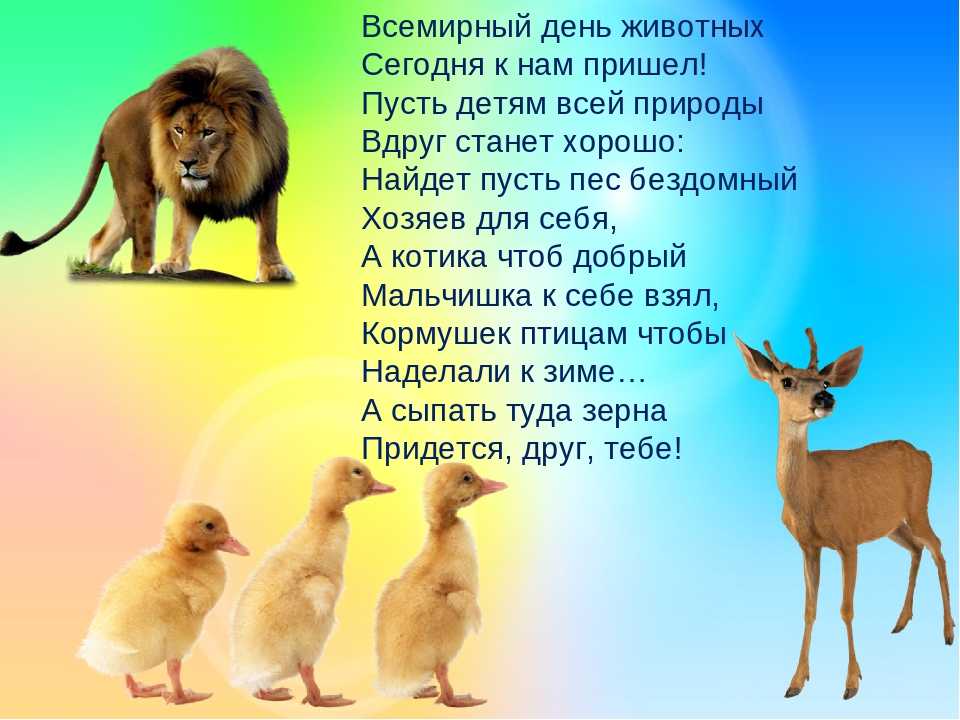 Стихи про животных для детей