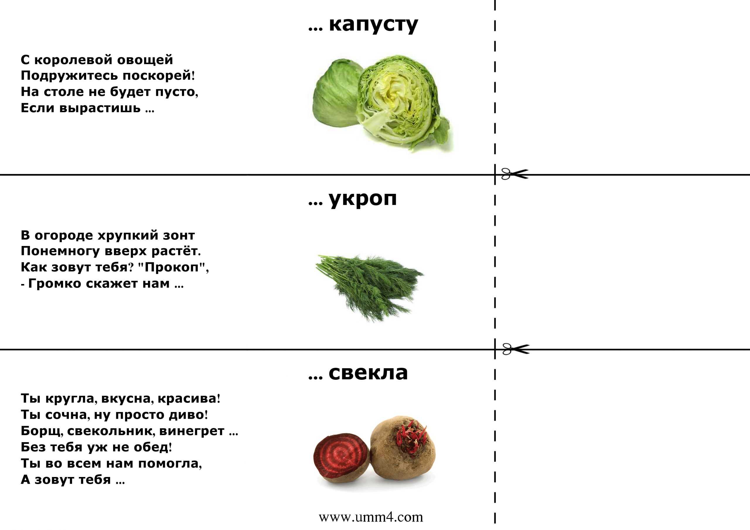 Загадки с ответами для детей про овощи, зелень, фрукты и ягоды