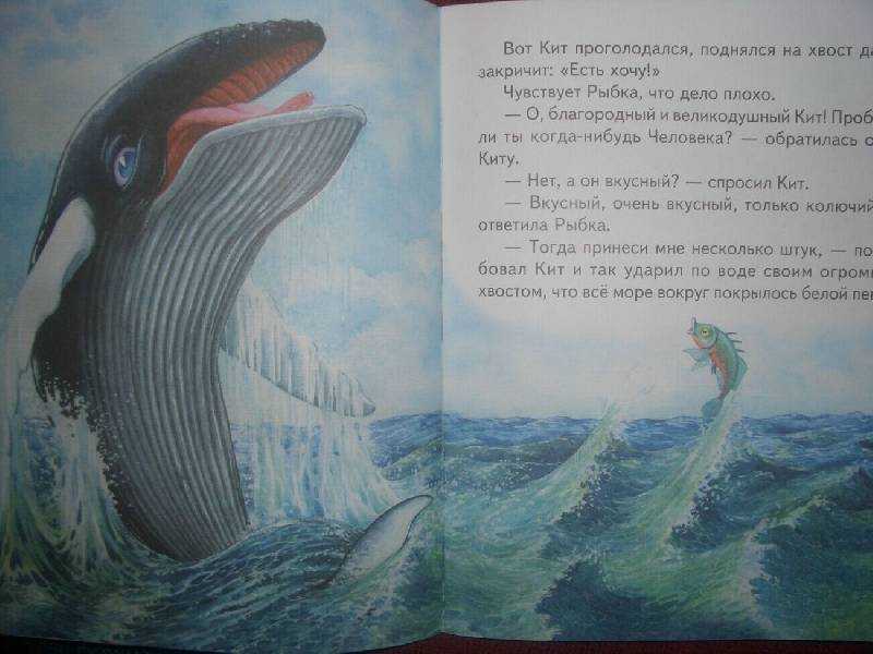 Откуда у кита такая глотка