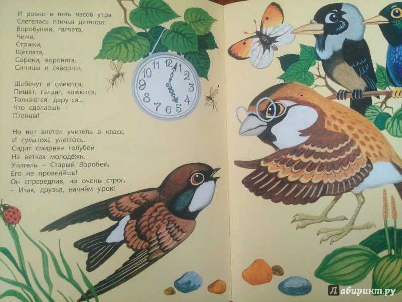 Стих птичья школа текст читать онлайн бесплатно