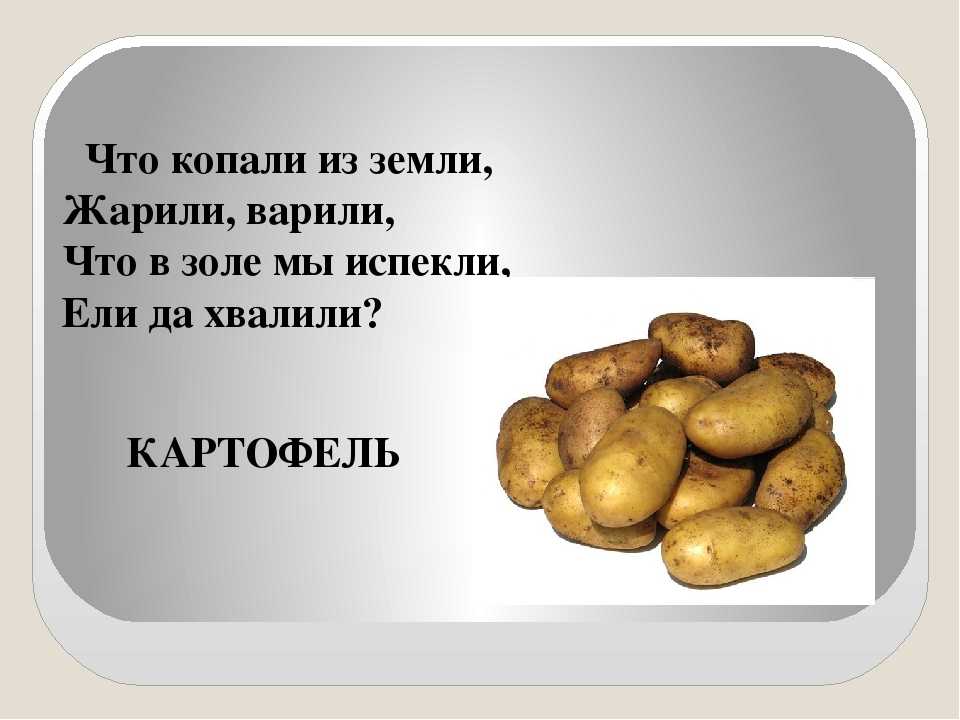 Родина картофеля