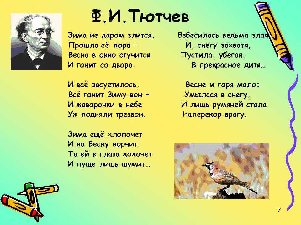 Стихи про животных