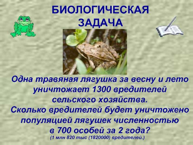 Травяная лягушка (rana temporaria) фото, биология описание распространение размножение поведение питается фотография голос среда обитания размер инкубация потомство активность, реферат земноводные, co