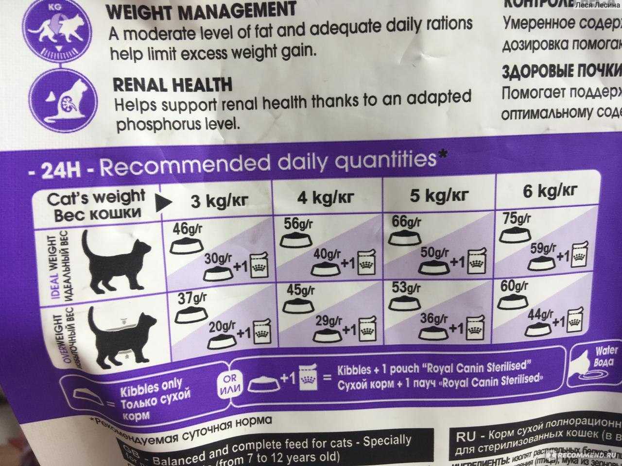 Вреден ли сухой корм для кошек, вред и польза готовых кормов по мнению ветеринаров, рекомендации по кормлению