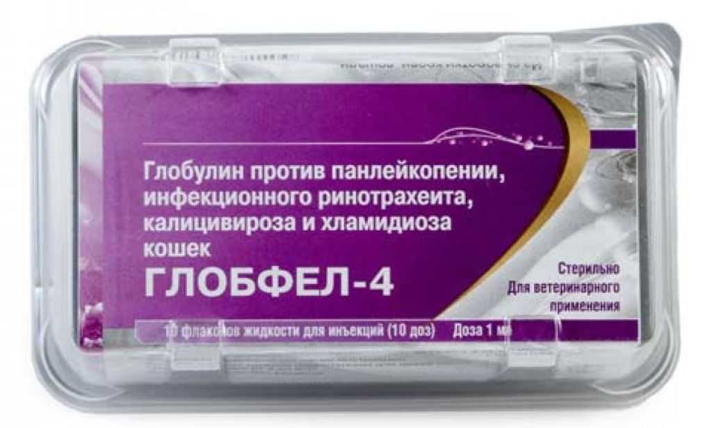 Глобфел-4 для кошек: инструкция по применению, отзывы, аналоги препарата