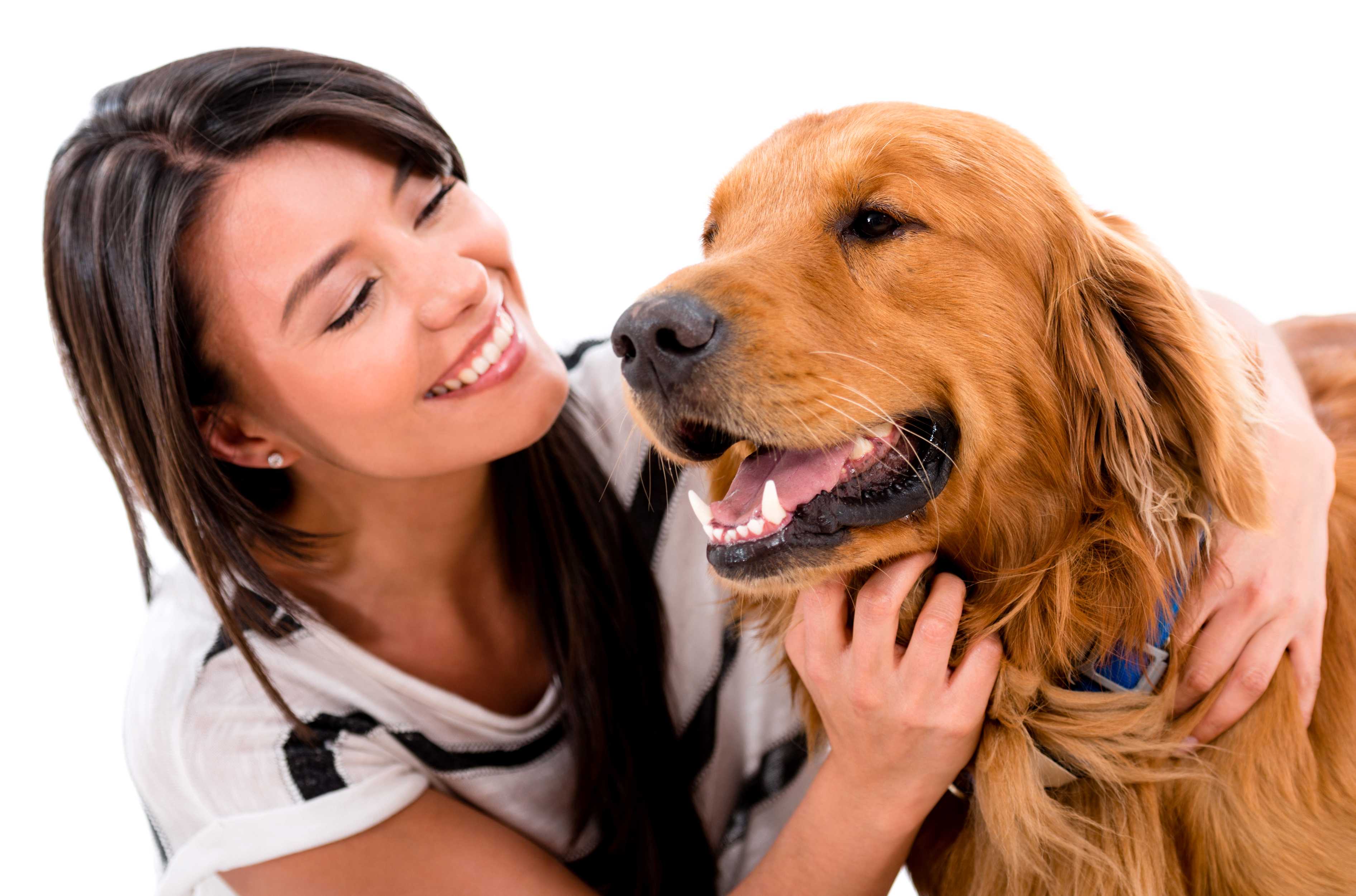 Как отучить собаку есть экскременты – 8 верных способов | ваши питомцы