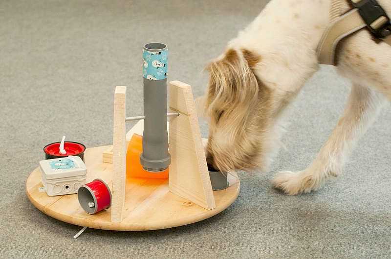 Игрушки для собак – как сделать своими руками