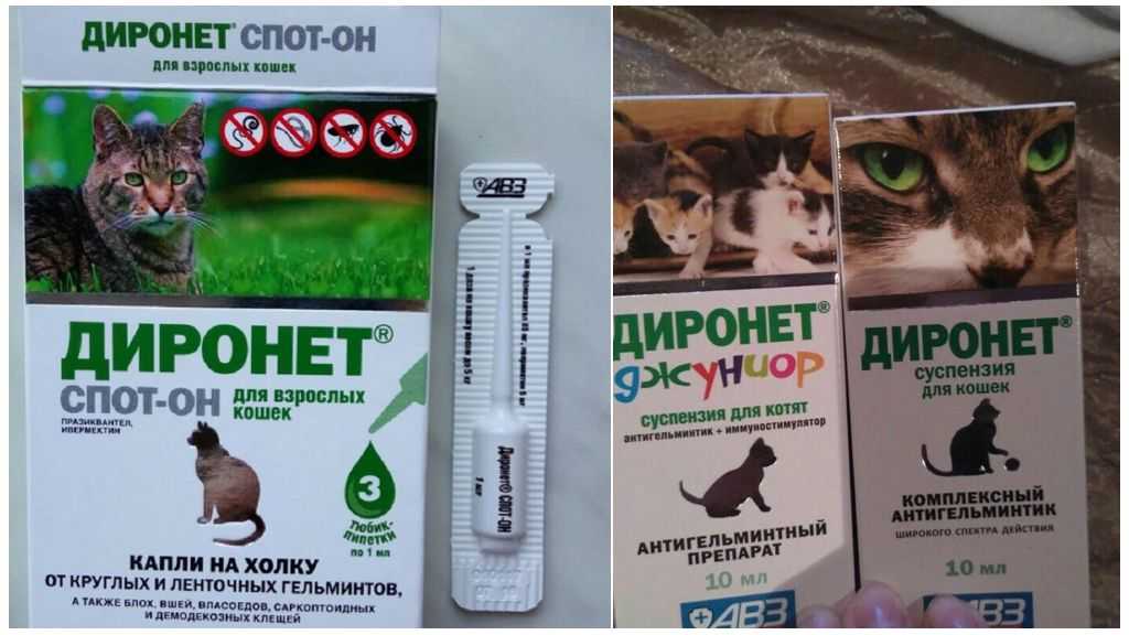 Диронет для кошек: таблетки, капли, суспензия, диронет джуниор