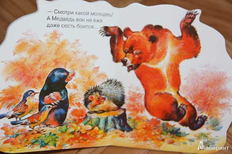 Рассказ сладкова медведь. Иллюстрации к книгам Сладкова. Иллюстрации к сказке медведь и солнце н Сладкова.