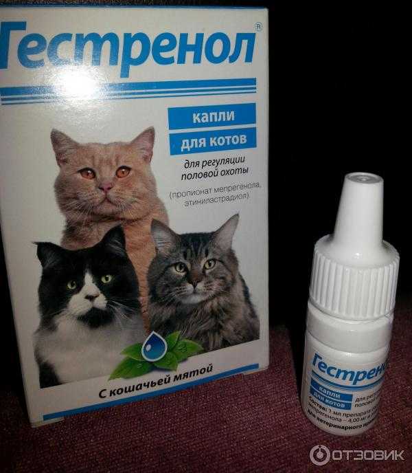 Таблетки гестренол для кошек - инструкция по применению
