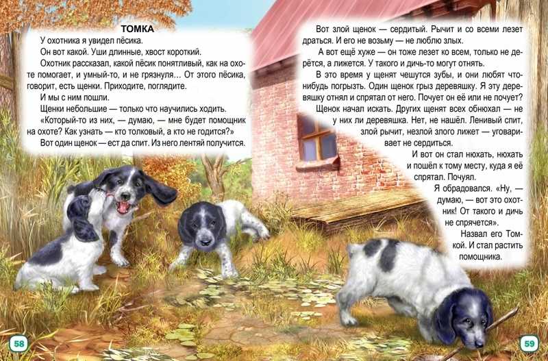 Рассказы про животных для детей 3 класса читать