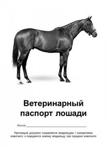 Собственная лошадь