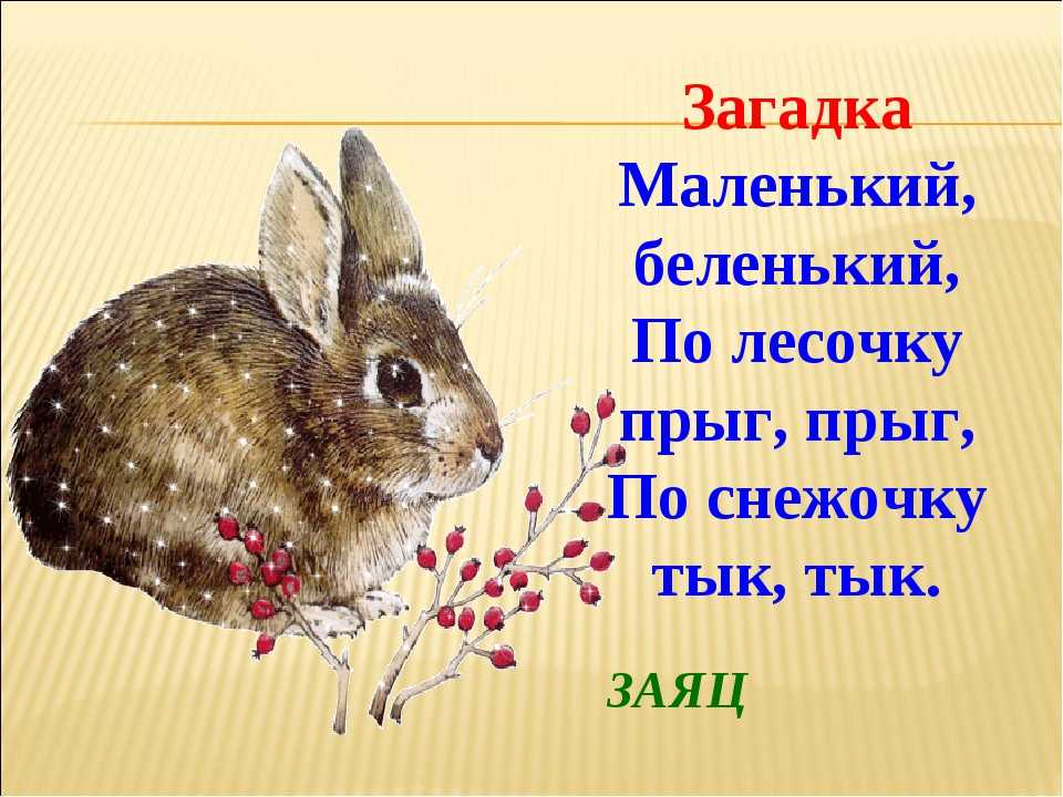 Стихи про зайку  короткие четверостишия про зайчика для детей
