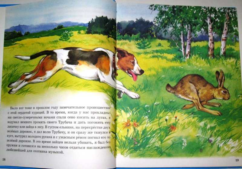 Книга сказки в рисунках в. чижикова читать онлайн бесплатно, автор сергей михалков – fictionbook