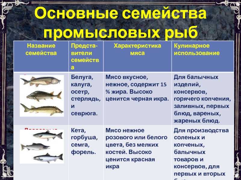 Название групп рыб. Основные семейства промысловых рыб таблица. Промысловые рыбы таблица. Семейства промысловых рыб. Семейств важнейших промысловых рыб.