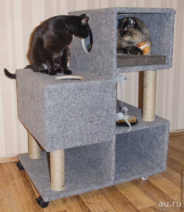 Лежанка для кошек своими руками: как обустроить место для домашнего питомца – советы по ремонту