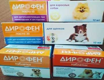 Дирофен для кошек - инструкция по применению препарата от глистов