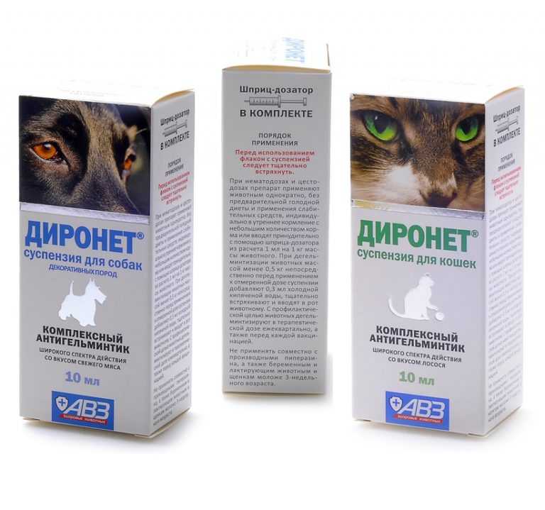 Диронет: виды лекарства, как давать кошке, дозировка
