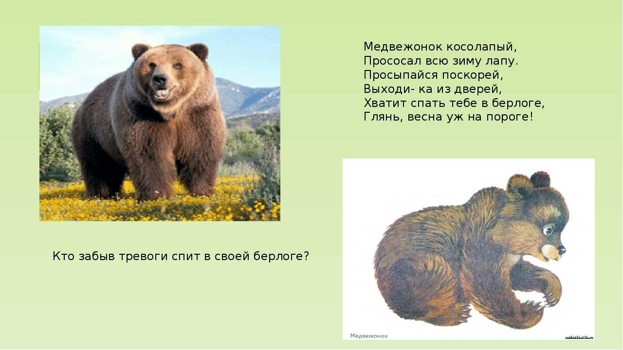 Сказки в стихах